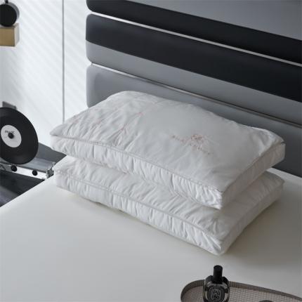 91家纺网 家纺一手货源 找家纺 总头等舱 2023澳棉高支高密A类桑蚕丝（长丝）护颈抗菌枕(配包装）