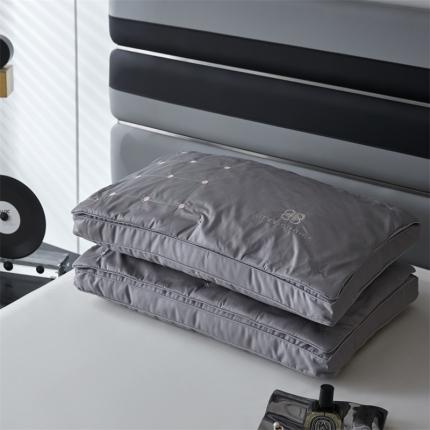 91家纺网 家纺一手货源 找家纺 总头等舱 2023澳棉高支高密A类桑蚕丝（长丝）护颈抗菌枕(配包装）