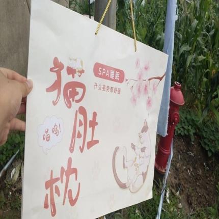 91家纺网 家纺一手货源 找家纺 （总）佳梦达 2021新款猫肚枕