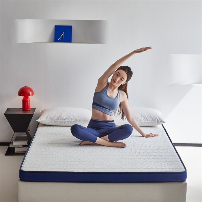 91家纺网 家纺一手货源 找家纺 时奥2023新款防螨梦幻蓝乳胶护脊3E椰棕床垫3分棕（5cm）（包邮）