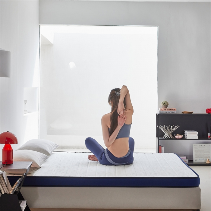 91家纺网 家纺一手货源 找家纺 时奥2023新款防螨梦幻蓝乳胶护脊3E椰棕床垫3分棕（5cm）（包邮）