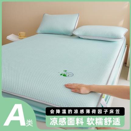 91家纺网 家纺一手货源 找家纺 （总）席世家 2023新款薄荷冰丝凉感席A类凉感丝软席床笠席