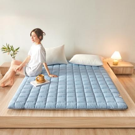 亿丁点 2023新款磨毛抗压硬质棉绗缝抗压成人床垫 蓝色