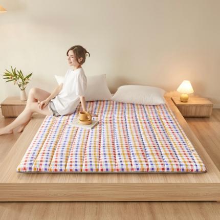 亿丁点 2023新款磨毛抗压硬质棉绗缝抗压成人床垫 乐风