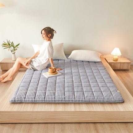 亿丁点 2023新款磨毛抗压硬质棉绗缝抗压成人床垫 优格-灰