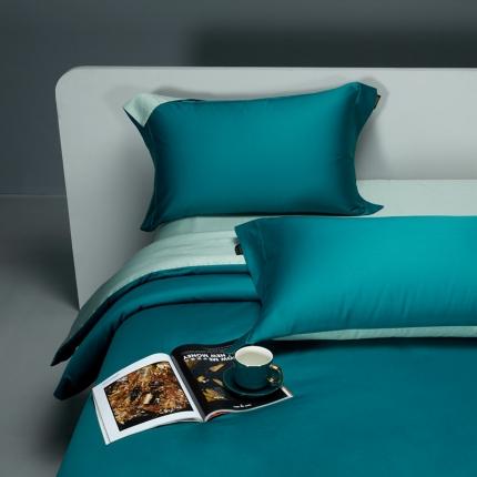 91家纺网 家纺一手货源 找家纺 （总）莱阁亿 2023新款高支高密新疆长绒棉纯色双拼单品床笠