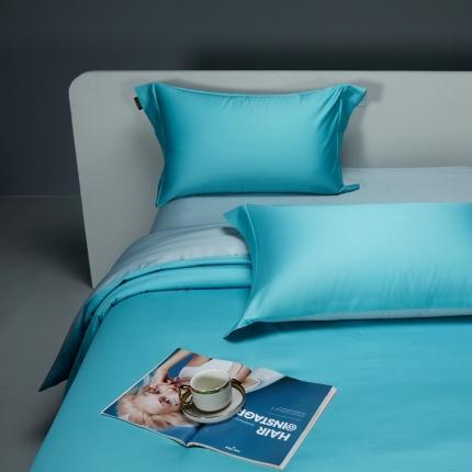 91家纺网 家纺一手货源 找家纺 （总）莱阁亿 2023新款高支高密新疆长绒棉纯色双拼单品床笠