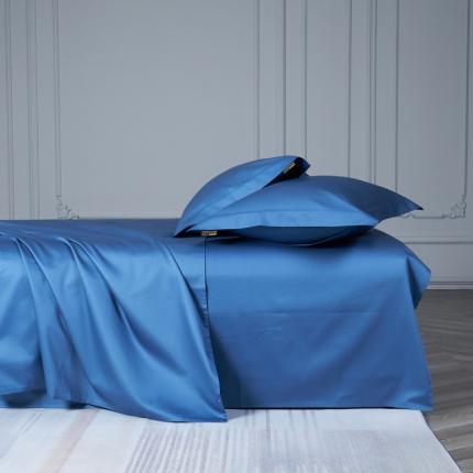 91家纺网 家纺一手货源 找家纺 （总）莱阁亿 2023新款高支高密纯色新疆长绒棉四件套单品床单