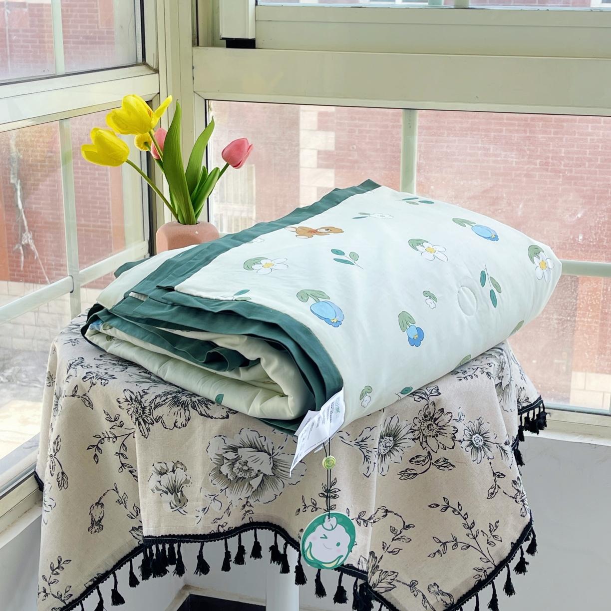 91家纺网 家纺一手货源 找家纺 （总）蓝庭云小棉天丝棉凉感小清新夏凉被卡通可机洗亲肤空调被双人被