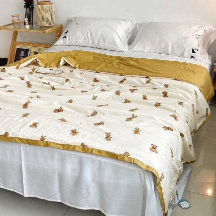 91家纺网 家纺一手货源 找家纺 （总）蓝庭云小棉天丝棉凉感小清新夏凉被卡通可机洗亲肤空调被双人被