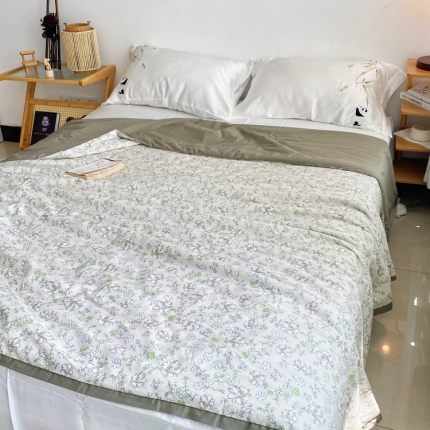 91家纺网 家纺一手货源 找家纺 （总）蓝庭云小棉天丝棉凉感小清新夏凉被卡通可机洗亲肤空调被双人被