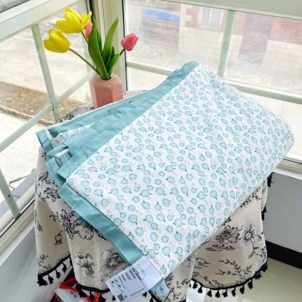 蓝庭云小棉天丝棉凉感小清新夏凉被卡通可机洗亲肤空调被双人被 风浅