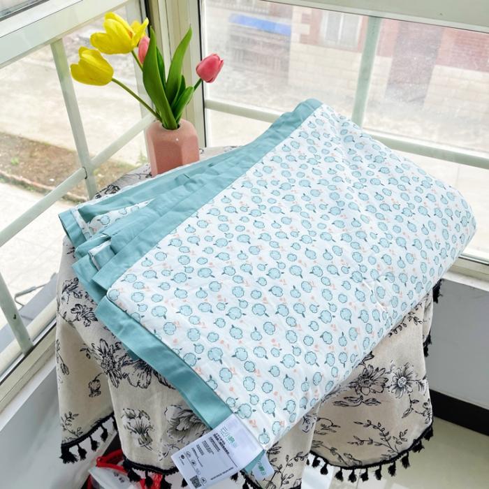 91家纺网 家纺一手货源 找家纺 蓝庭云小棉天丝棉凉感小清新夏凉被卡通可机洗亲肤空调被双人被 风浅