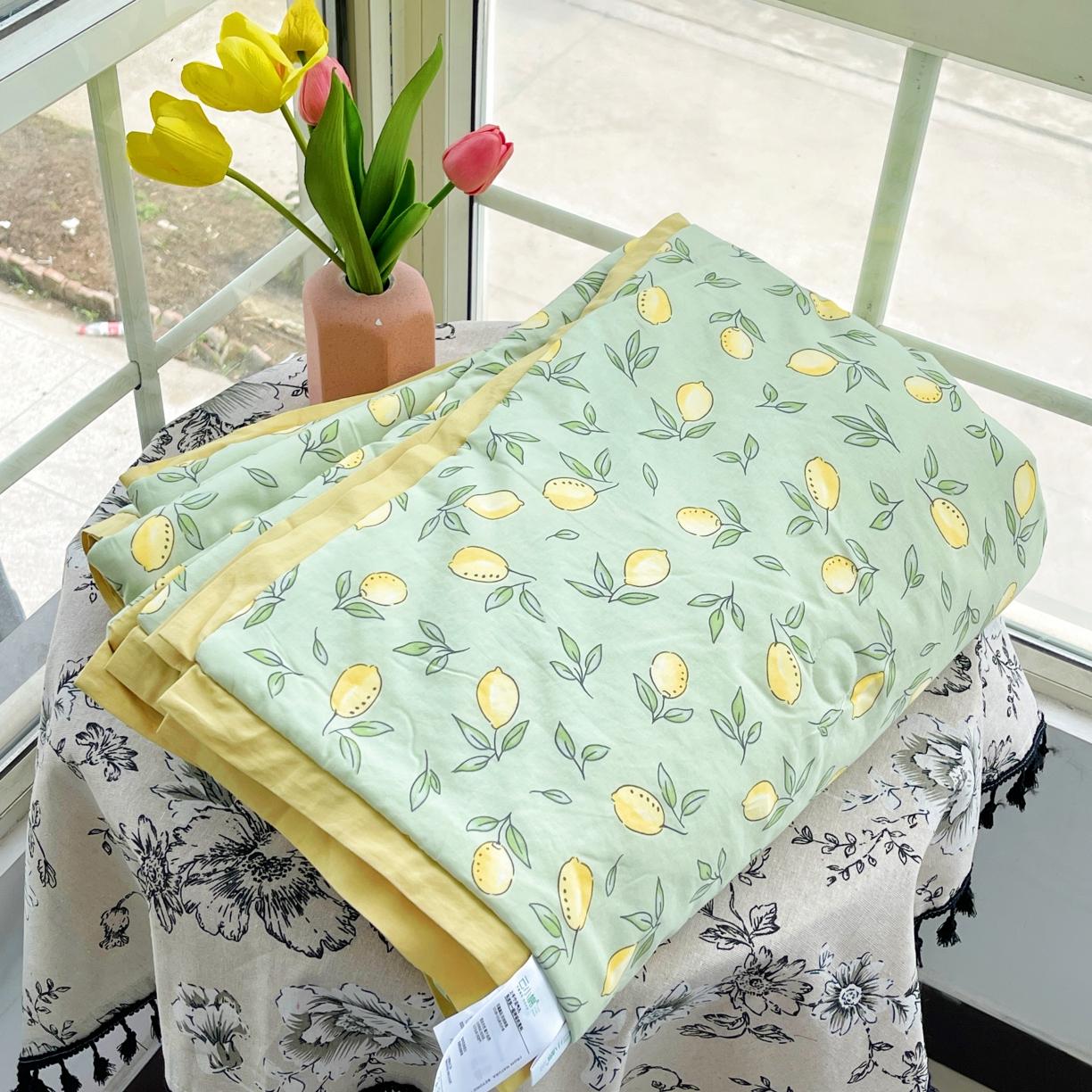 91家纺网 家纺一手货源 找家纺 蓝庭云小棉天丝棉凉感小清新夏凉被卡通可机洗亲肤空调被双人被 果粒多