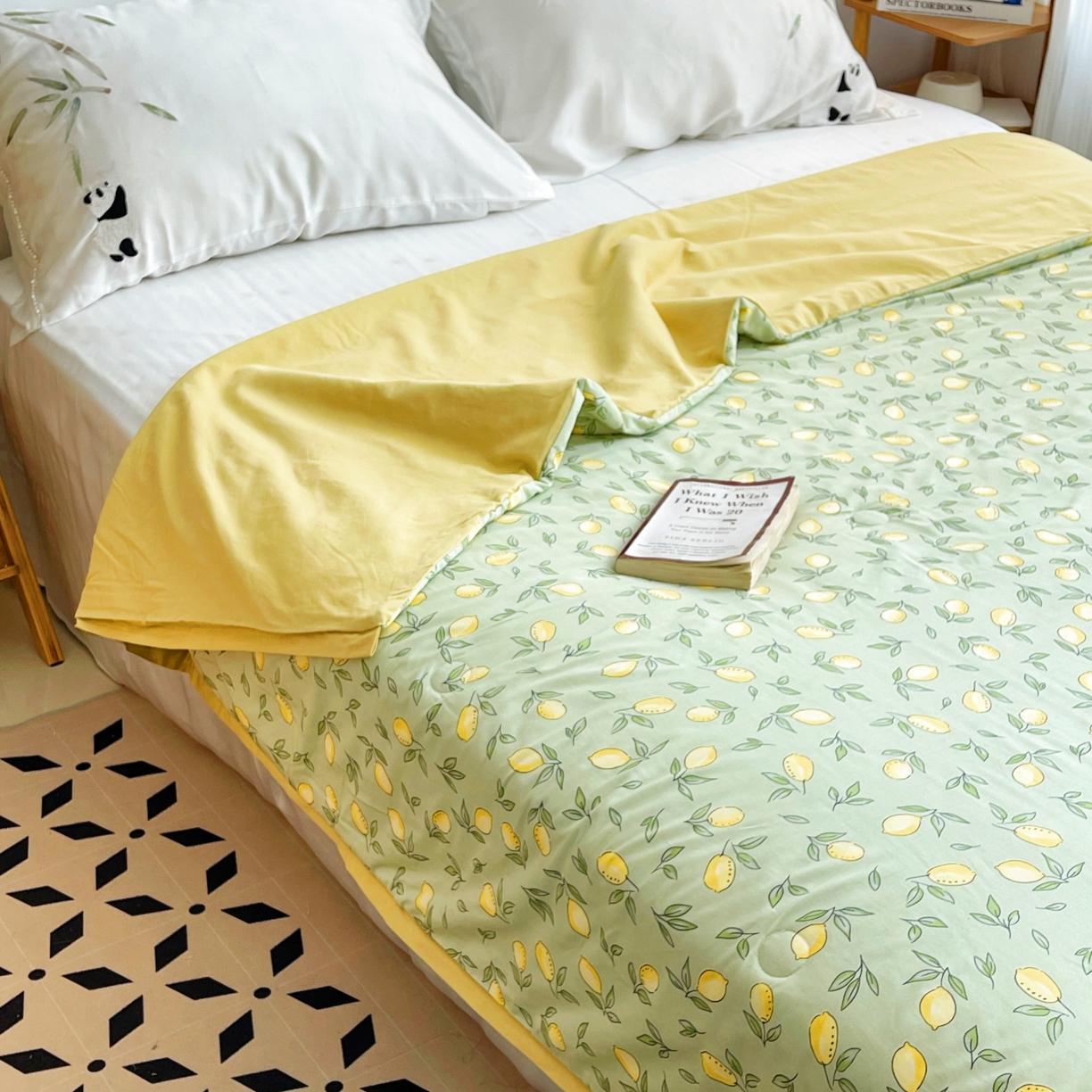 91家纺网 家纺一手货源 找家纺 蓝庭云小棉天丝棉凉感小清新夏凉被卡通可机洗亲肤空调被双人被 果粒多