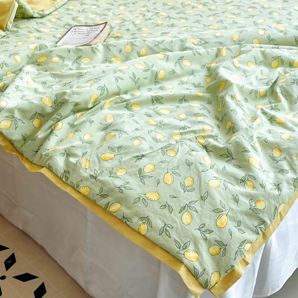 91家纺网 家纺一手货源 找家纺 蓝庭云小棉天丝棉凉感小清新夏凉被卡通可机洗亲肤空调被双人被 果粒多