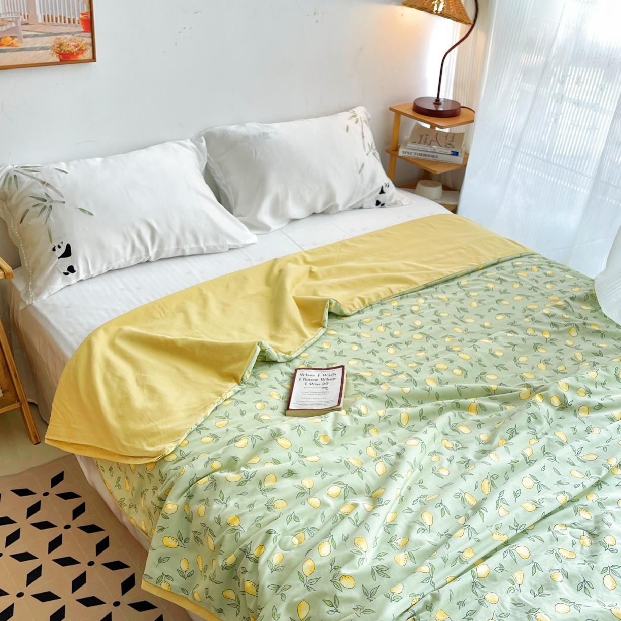 91家纺网 家纺一手货源 找家纺 蓝庭云小棉天丝棉凉感小清新夏凉被卡通可机洗亲肤空调被双人被 果粒多