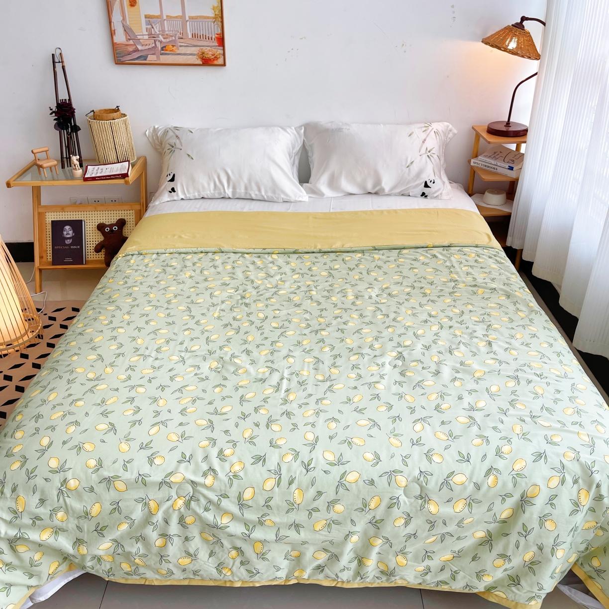 91家纺网 家纺一手货源 找家纺 蓝庭云小棉天丝棉凉感小清新夏凉被卡通可机洗亲肤空调被双人被 果粒多