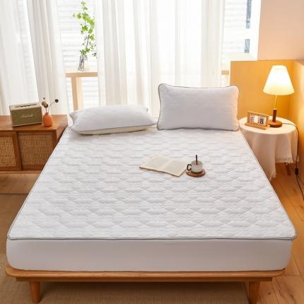 91家纺网 家纺一手货源 找家纺 （总）蕾诺 2023新款水洗磨毛夹棉床笠