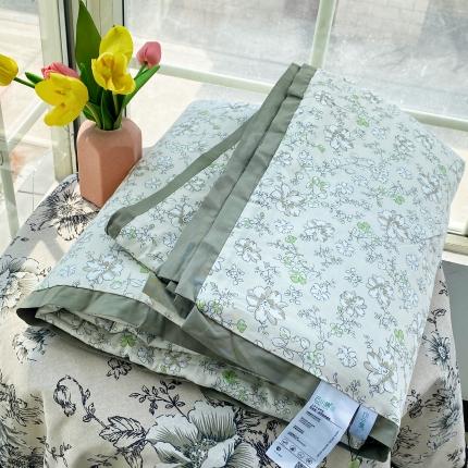 蓝庭云小棉天丝棉凉感小清新夏凉被卡通可机洗亲肤空调被双人被 南柚