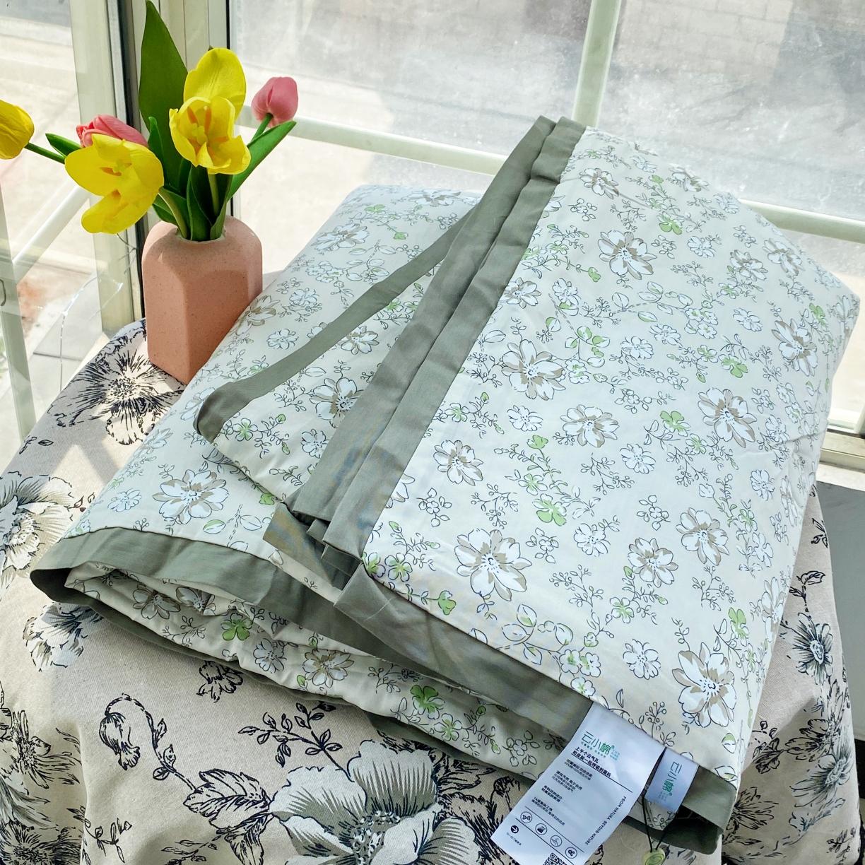 91家纺网 家纺一手货源 找家纺 蓝庭云小棉天丝棉凉感小清新夏凉被卡通可机洗亲肤空调被双人被 南柚