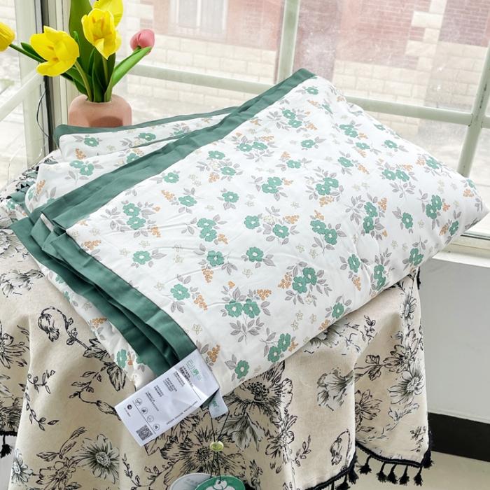 91家纺网 家纺一手货源 找家纺 蓝庭云小棉天丝棉凉感小清新夏凉被卡通可机洗亲肤空调被双人被 韶华