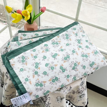 91家纺网 家纺一手货源 找家纺 蓝庭云小棉天丝棉凉感小清新夏凉被卡通可机洗亲肤空调被双人被 韶华