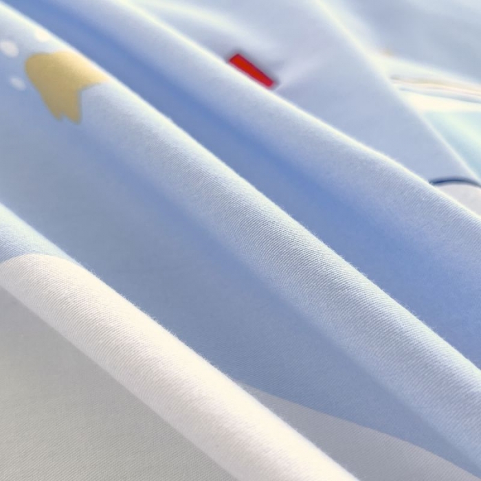 91家纺网 家纺一手货源 找家纺 金鑫汇 2022新款喷气全棉被套翱翔太空