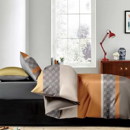 （总1）威克凯丽 2023新款生态磨毛四件套