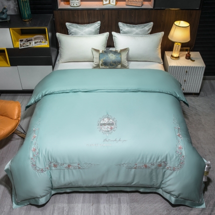 91家纺网 家纺一手货源 找家纺 天木兰 活里活面可拆卸可水洗绣花纯蚕丝被 黄金桑蚕丝被子 直播批发真品