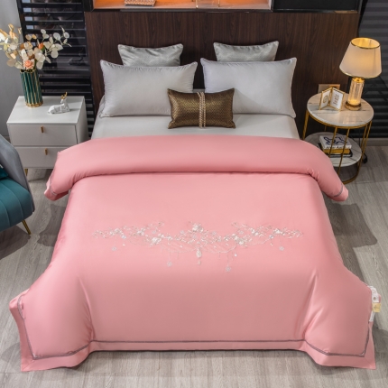 91家纺网 家纺一手货源 找家纺 天木兰 活里活面可拆卸可水洗绣花纯蚕丝被 黄金桑蚕丝被子 直播批发真品