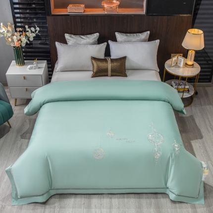 91家纺网 家纺一手货源 找家纺 天木兰 活里活面可拆卸可水洗绣花纯蚕丝被 黄金桑蚕丝被子 直播批发真品