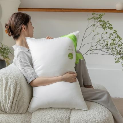 拾光枕芯 2023新款A+杜邦双向酒店纤维护颈枕 低软枕