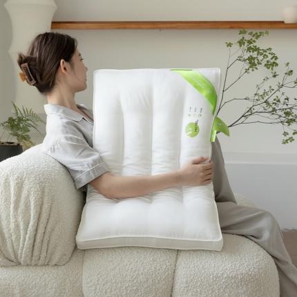 拾光枕芯 2023新款A+杜邦双向酒店纤维护颈枕 立体中枕