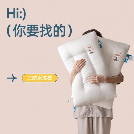 （总）拾光枕芯 2023新款三防水洗羽丝枕