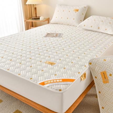 鑫钰 2023新款防水隔尿全棉纯棉大豆夹棉刺绣床笠直播爆款 优雅白