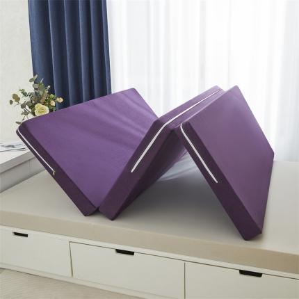 昊轩家纺2023新款日式榻榻米折叠海绵床垫 折叠床垫-丁香紫（9cm）