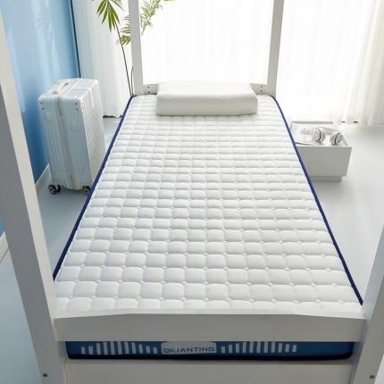 91家纺网 家纺一手货源 找家纺 祁恋婷 2023新款A类牛奶丝乳胶抗压学生床垫【床垫遮盖物】 几何-海因蓝