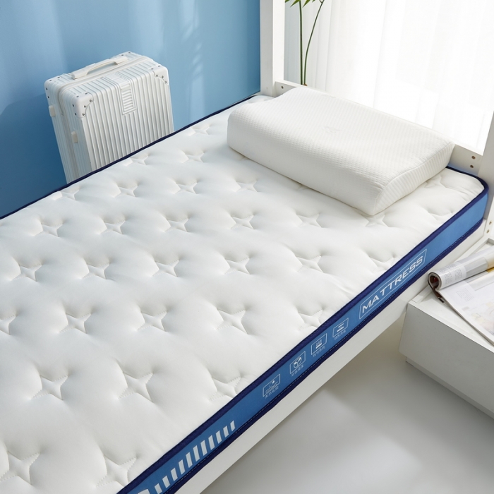 91家纺网 家纺一手货源 找家纺 祁恋婷 2023新款A类牛奶丝乳胶抗压学生床垫【床垫遮盖物】 繁星-海因蓝