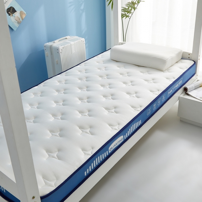 91家纺网 家纺一手货源 找家纺 祁恋婷 2023新款A类牛奶丝乳胶抗压学生床垫【床垫遮盖物】 繁星-海因蓝