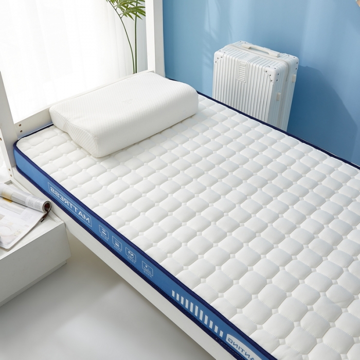 91家纺网 家纺一手货源 找家纺 祁恋婷 2023新款A类牛奶丝乳胶抗压学生床垫【床垫遮盖物】 几何-海因蓝