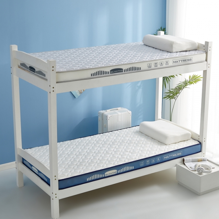 91家纺网 家纺一手货源 找家纺 祁恋婷 2023新款A类牛奶丝乳胶抗压学生床垫【床垫遮盖物】 四叶-海因蓝