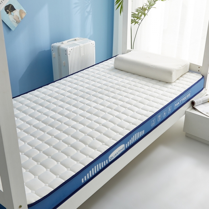 91家纺网 家纺一手货源 找家纺 （总）祁恋婷 2023新款A类牛奶丝乳胶抗压学生床垫【床垫遮盖物】