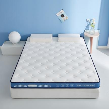 91家纺网 家纺一手货源 找家纺 祁恋婷 2023新款A类牛奶丝乳胶记忆棉床垫【床垫遮盖物】 繁星-海因蓝