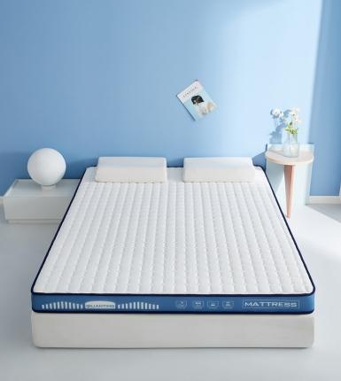 91家纺网 家纺一手货源 找家纺 祁恋婷 2023新款A类牛奶丝乳胶记忆棉床垫【床垫遮盖物】 几何-海因蓝