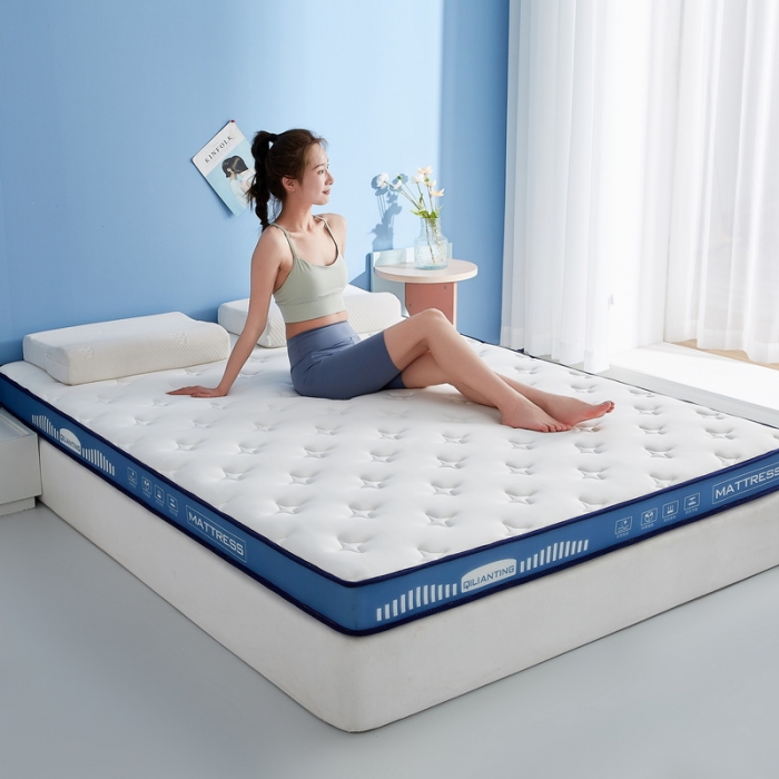 91家纺网 家纺一手货源 找家纺 （总）祁恋婷 2023新款A类牛奶丝乳胶记忆棉床垫【床垫遮盖物】