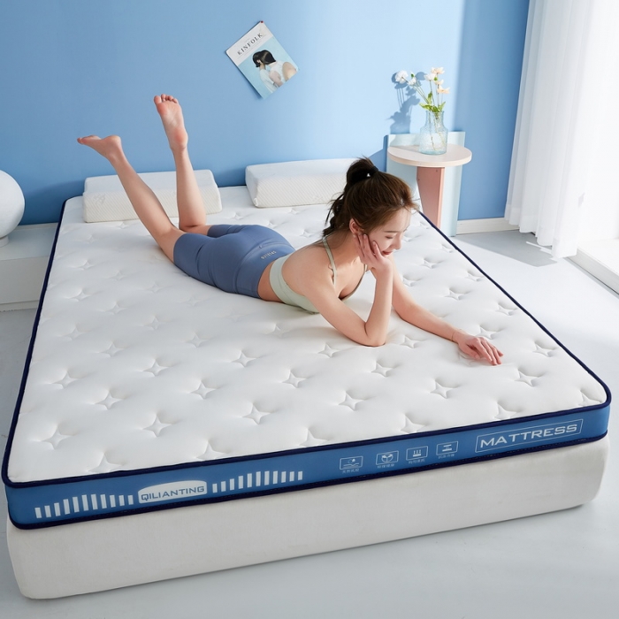 91家纺网 家纺一手货源 找家纺 （总）祁恋婷 2023新款A类牛奶丝乳胶记忆棉床垫【床垫遮盖物】