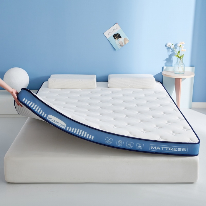 91家纺网 家纺一手货源 找家纺 （总）祁恋婷 2023新款A类牛奶丝乳胶记忆棉床垫【床垫遮盖物】