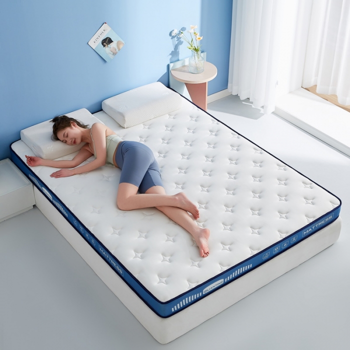 91家纺网 家纺一手货源 找家纺 祁恋婷 2023新款A类牛奶丝乳胶记忆棉床垫【床垫遮盖物】 繁星-海因蓝