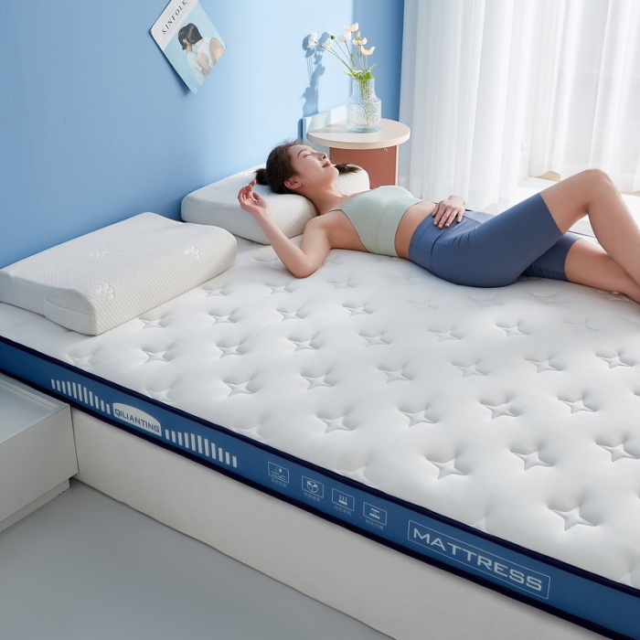 91家纺网 家纺一手货源 找家纺 祁恋婷 2023新款A类牛奶丝乳胶记忆棉床垫【床垫遮盖物】 繁星-海因蓝